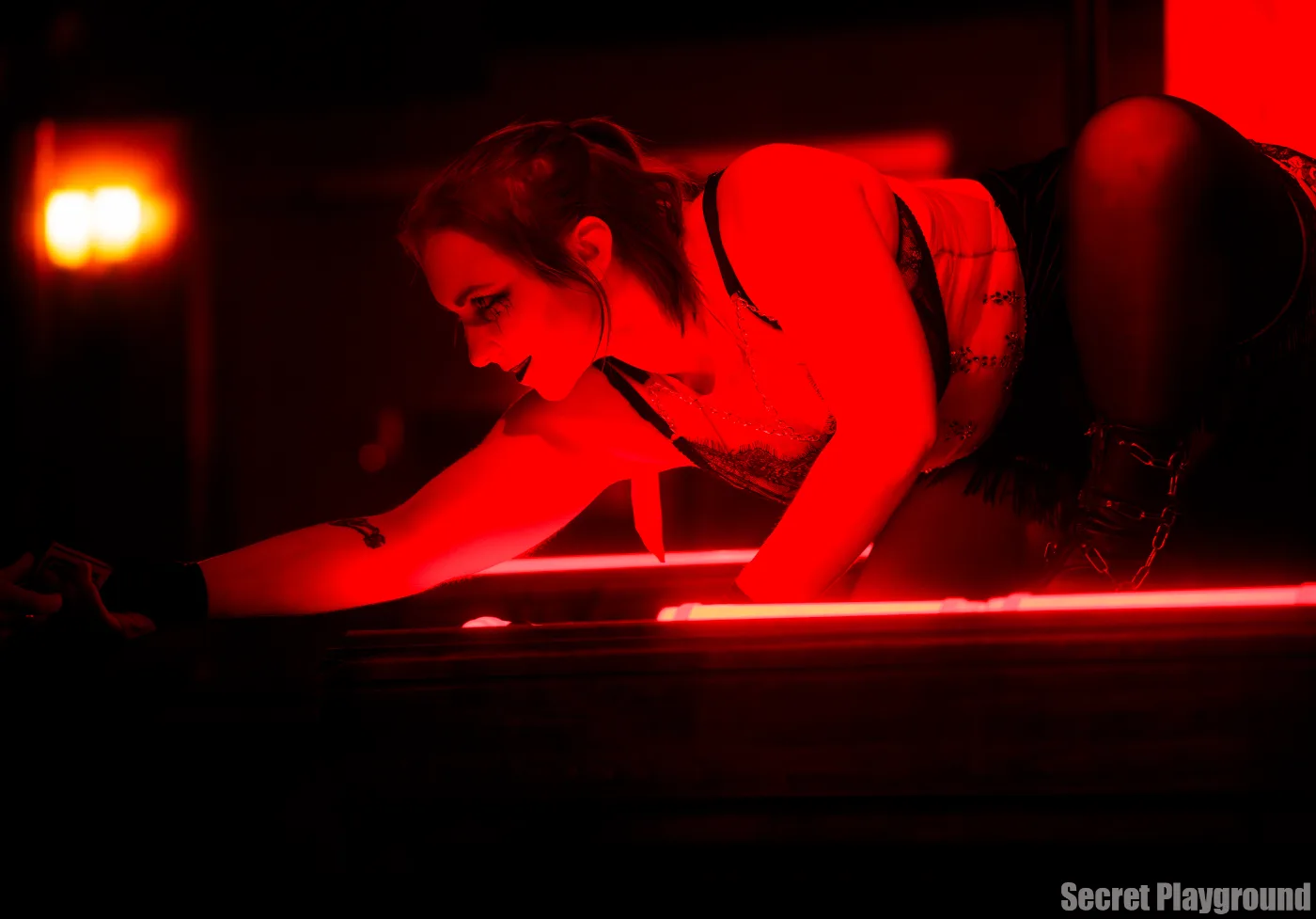 The Muse Aurora