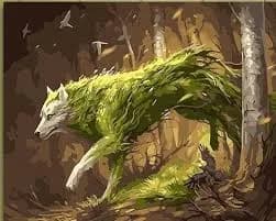 Wolf Kitten