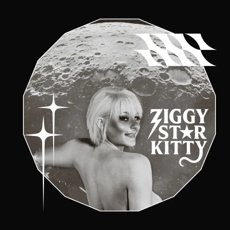 Ziggy Starpuss