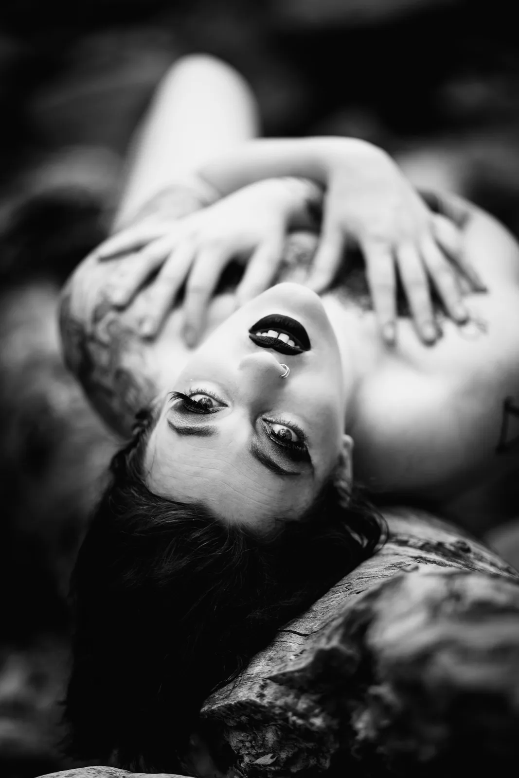 Doxy Divine