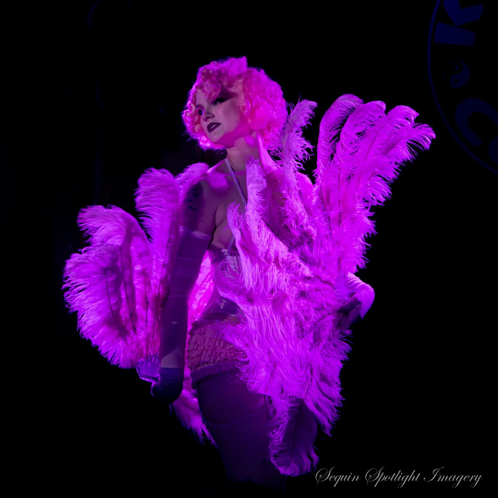Jess Velour