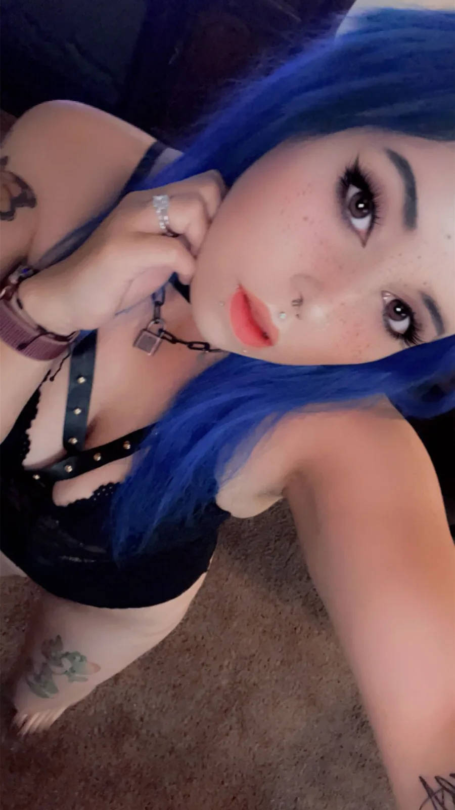 Veronica Vengeance