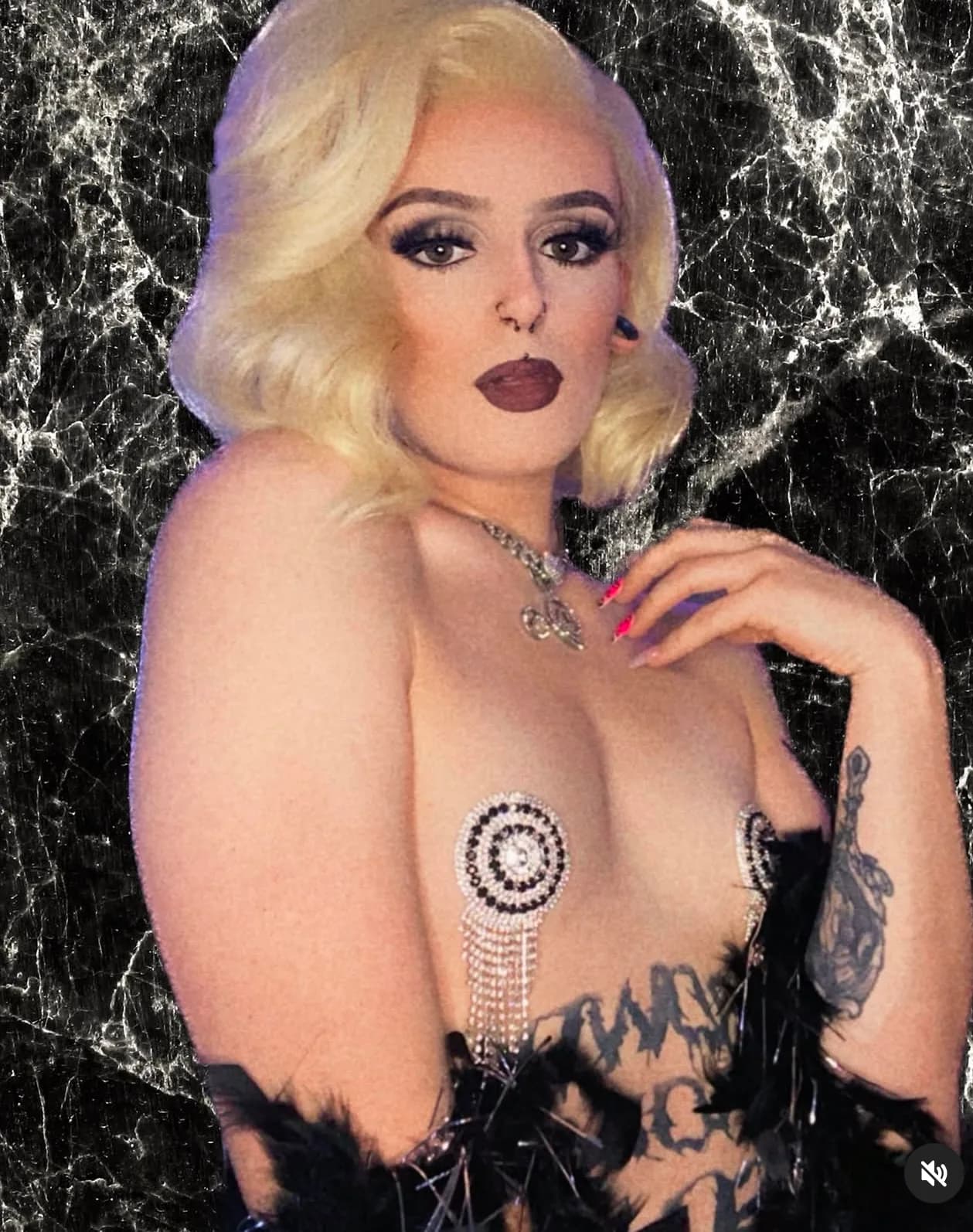 Venus Noir